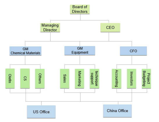 Company structure